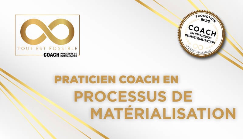 séance de scan bioénergétique ou coaching PDM en visio 