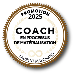 séance de scan bioénergétique ou coaching PDM en visio 