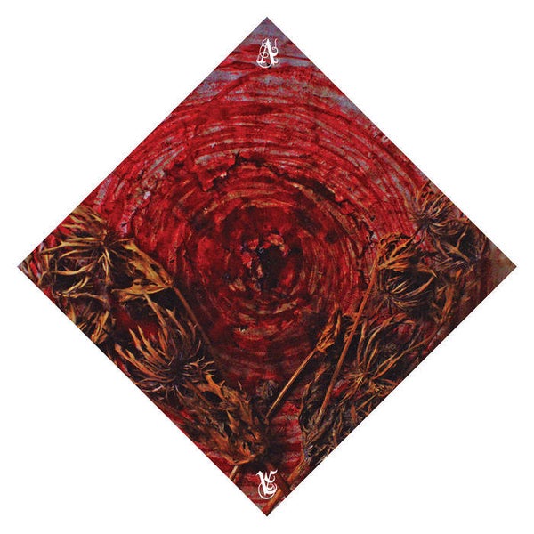 AINSOPH - Affection & Vengeance LP