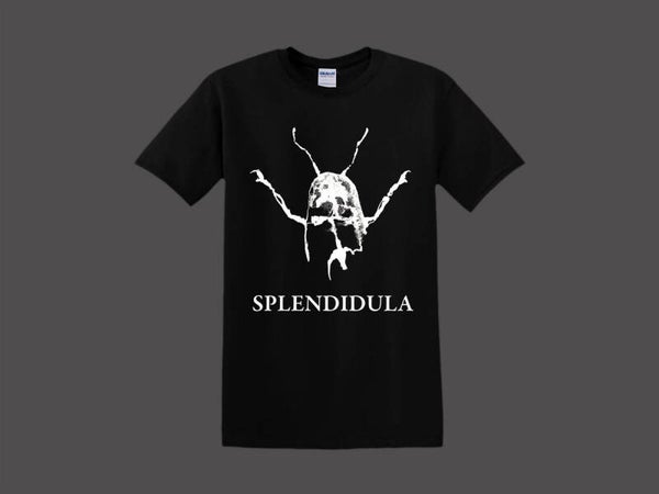 SPLENDIDULA - Shirt