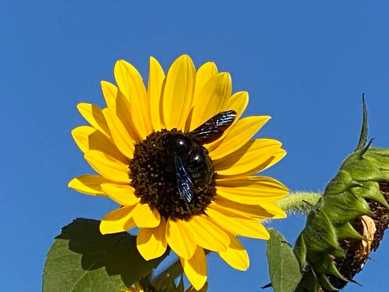 img_2027.jpeg