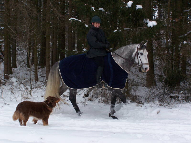 Die Hundezüchterin von Magic Dream of Black Forest reitet im Schnee am Waldrand, daneben läuft Ihr Ersthund
