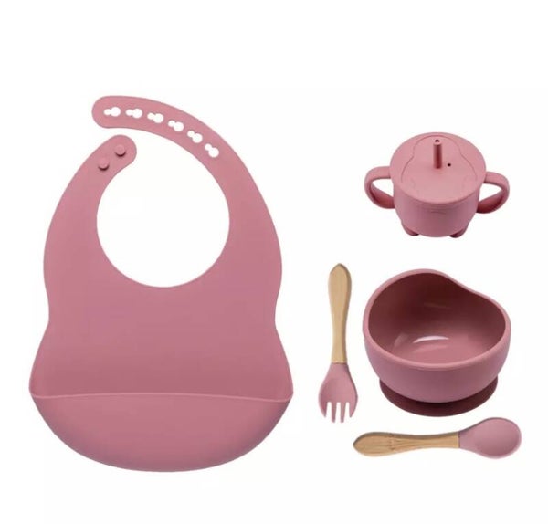 5 piece silicone feeding set- pink