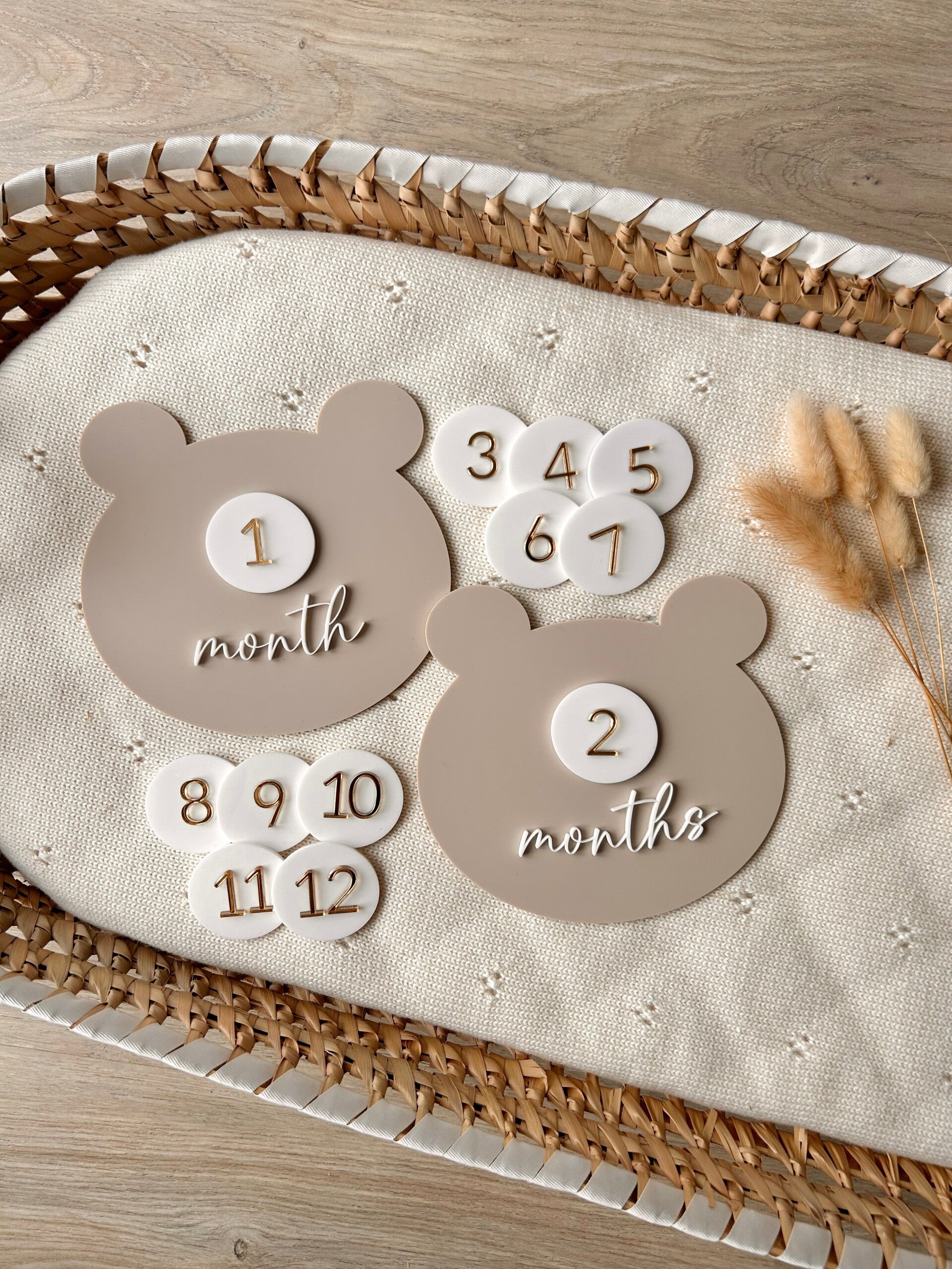 Interchangeable teddy milestone set