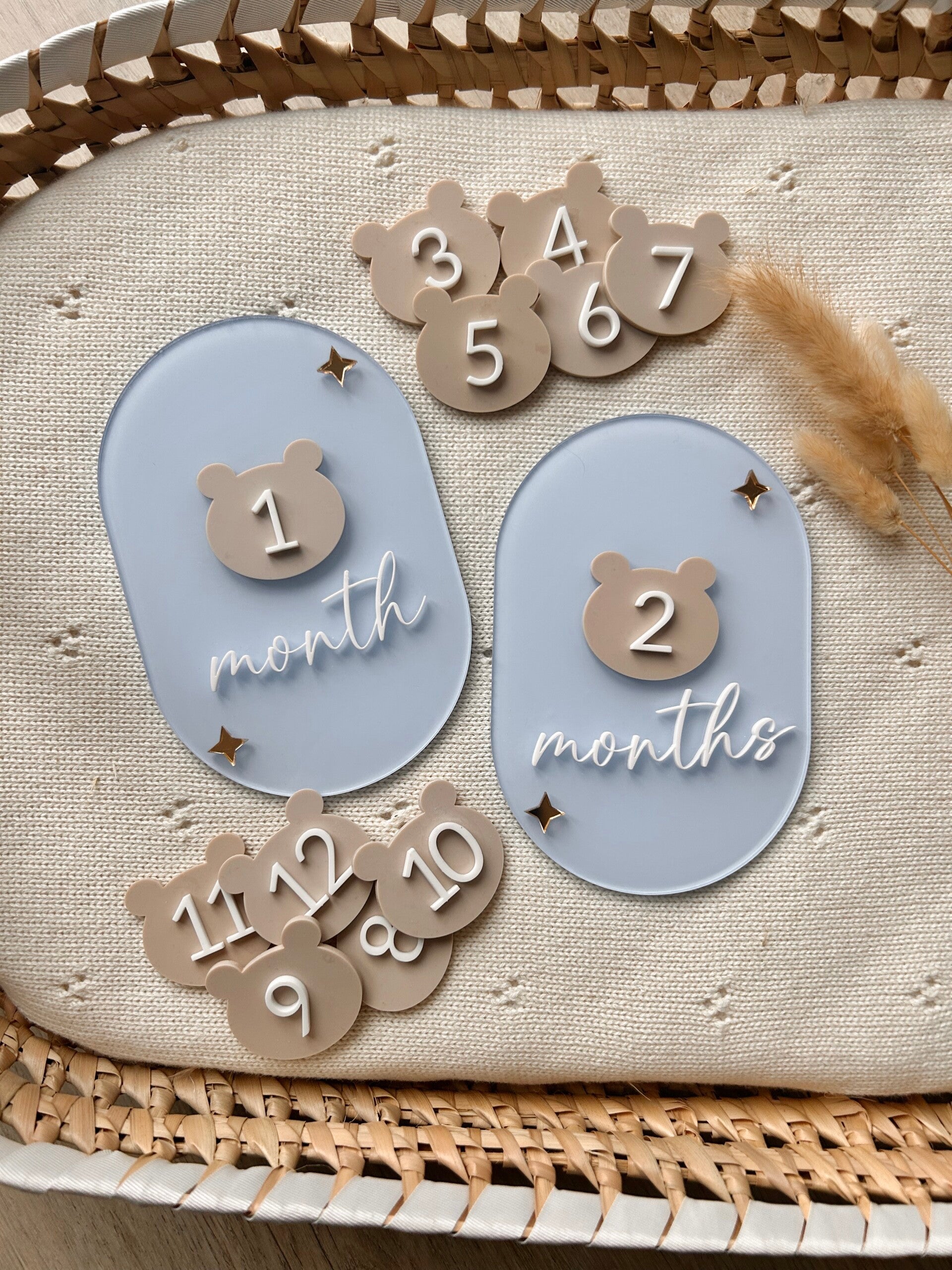 Interchangeable oblong teddy set