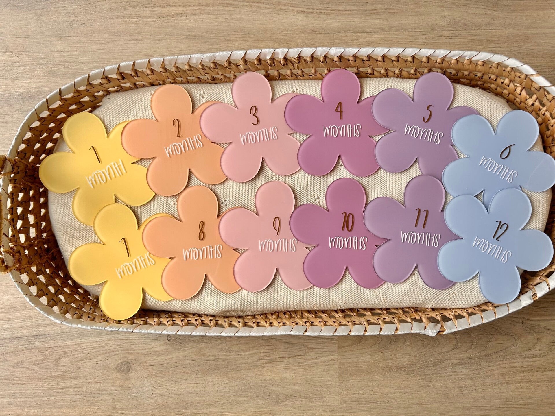 Pastel flower milestone set