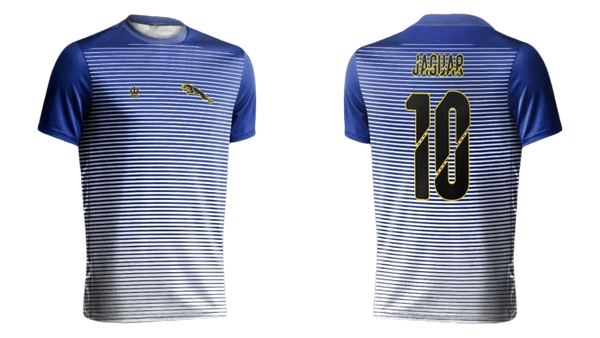 Striped Jersey