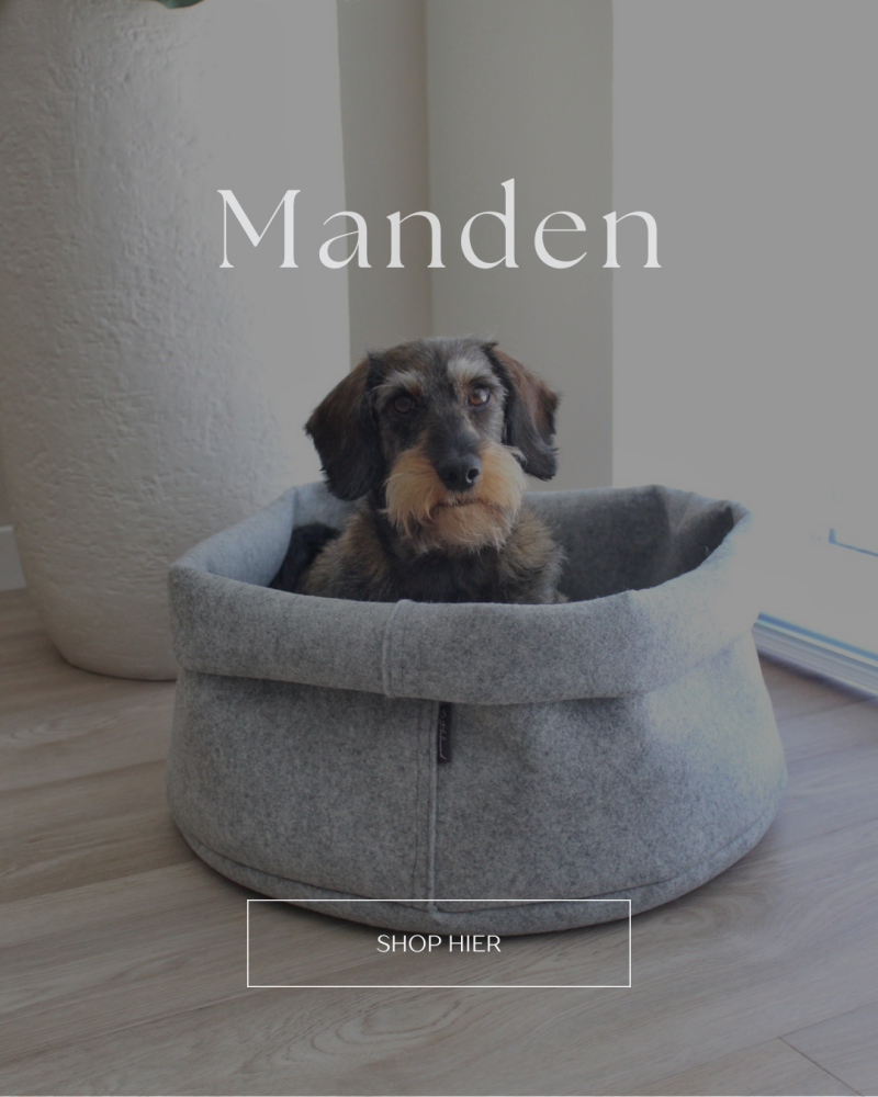 unieke, comfortabele honden manden en kussens voor teckels of andere klein ras honden