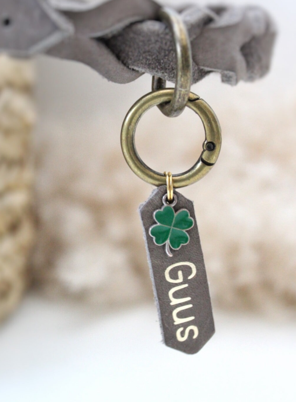 Leren Honden Naamtag | Gouden Letters