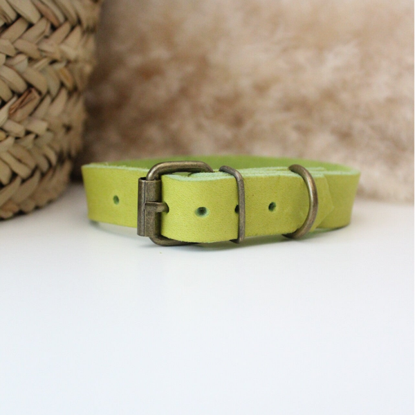 Lime Vetleer Halsband | Klassiek