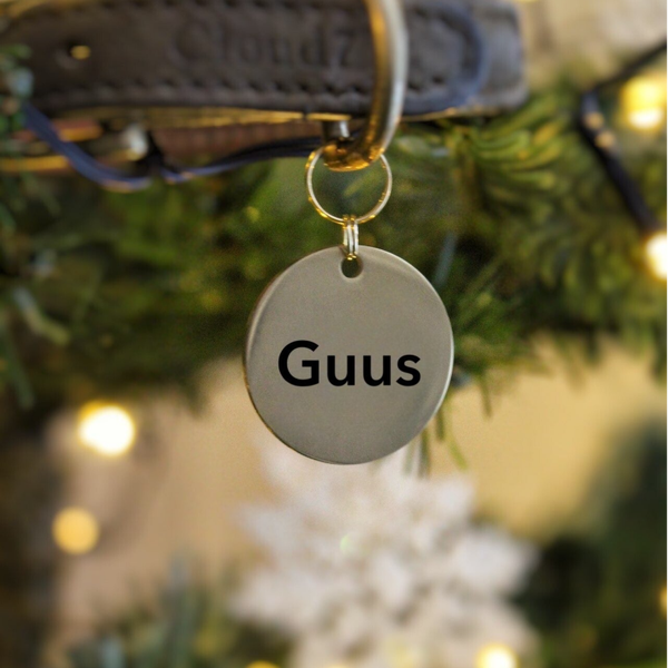 Grote Honden Naamtag | RVS Zilver of Goud