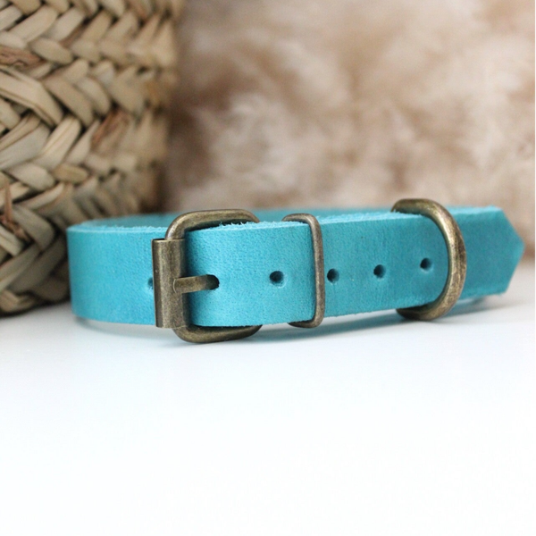 Turquoise Vetleer Halsband | Klassiek