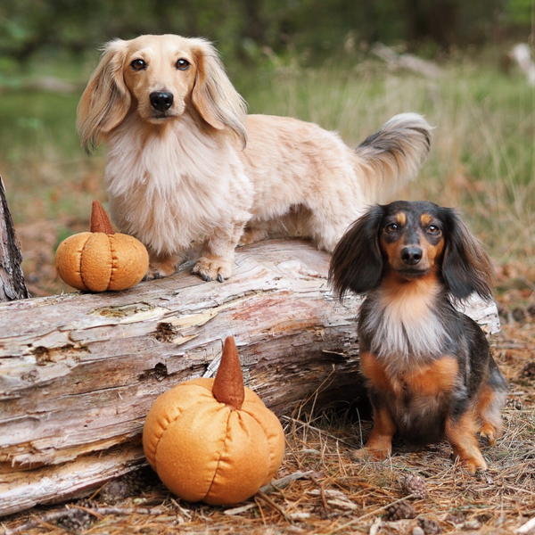 Autumn knuffelspeeltje | Pompoen