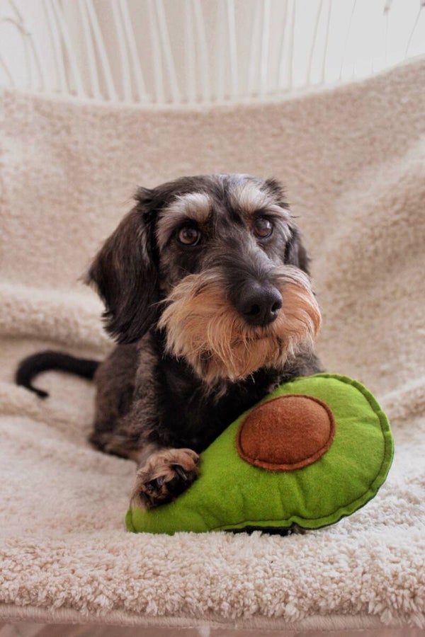 Fruity knuffelspeeltje | Avocado