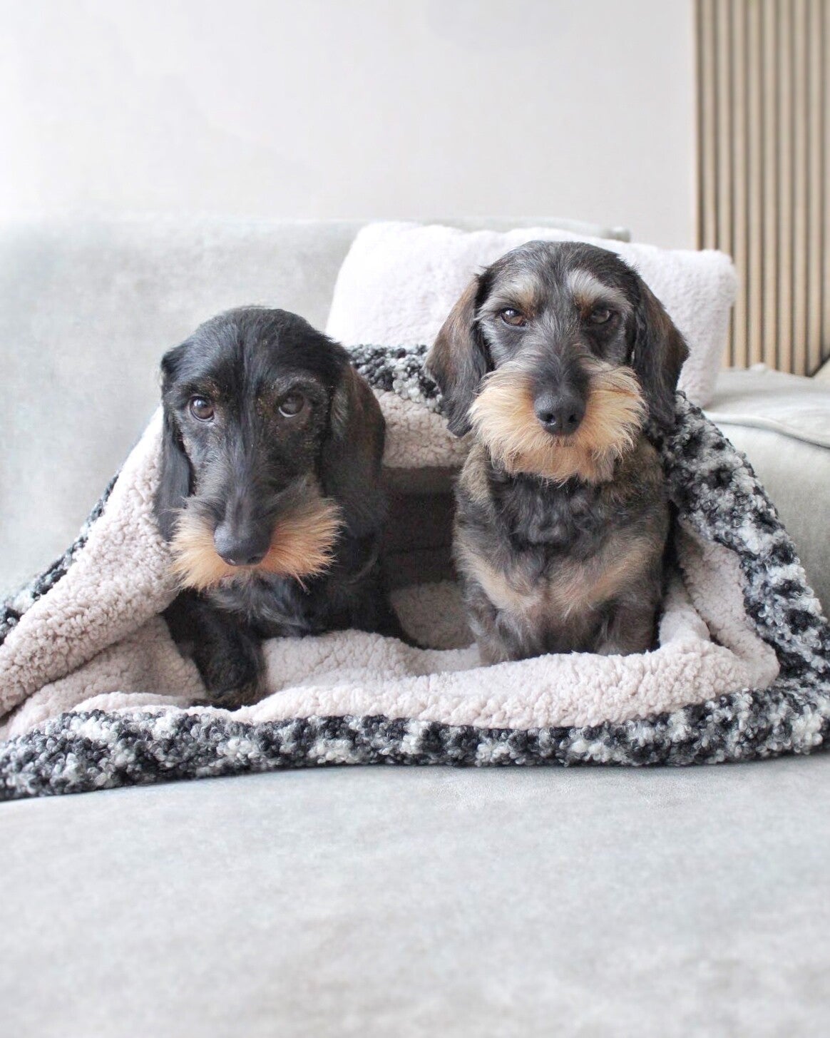 Hondenmand snuggle bag, teckel mand, slaapzak, hondenkussen, duurzaam, vilt, teckel accessoires, passend in elk interieur, woondesign, dogmom, hondenleven, comfortabel