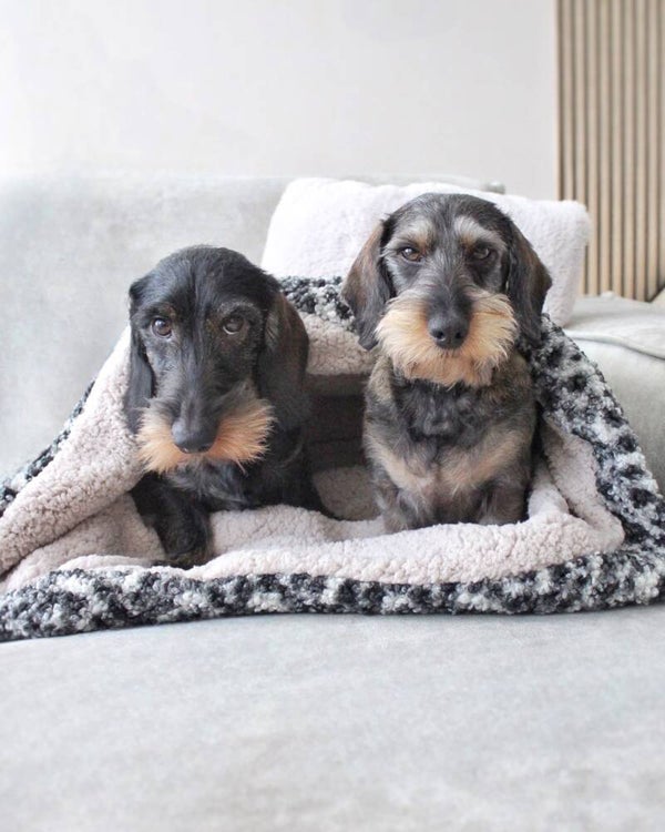 Slaapzak | Dots/Teddy