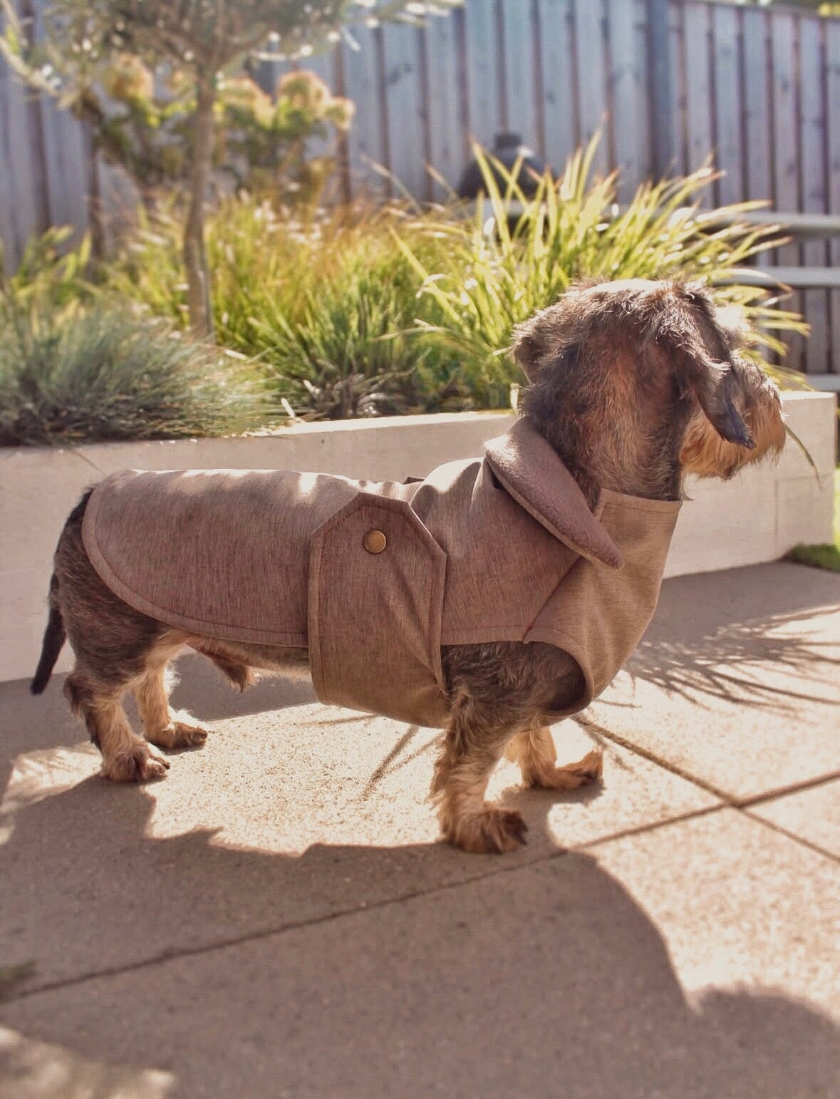 Luxe stijlvolle en praktische teckel regen en wind jasje op maat gemaakt passend bij de ruglengte van jouw teckel. waterdicht en handgemaakt