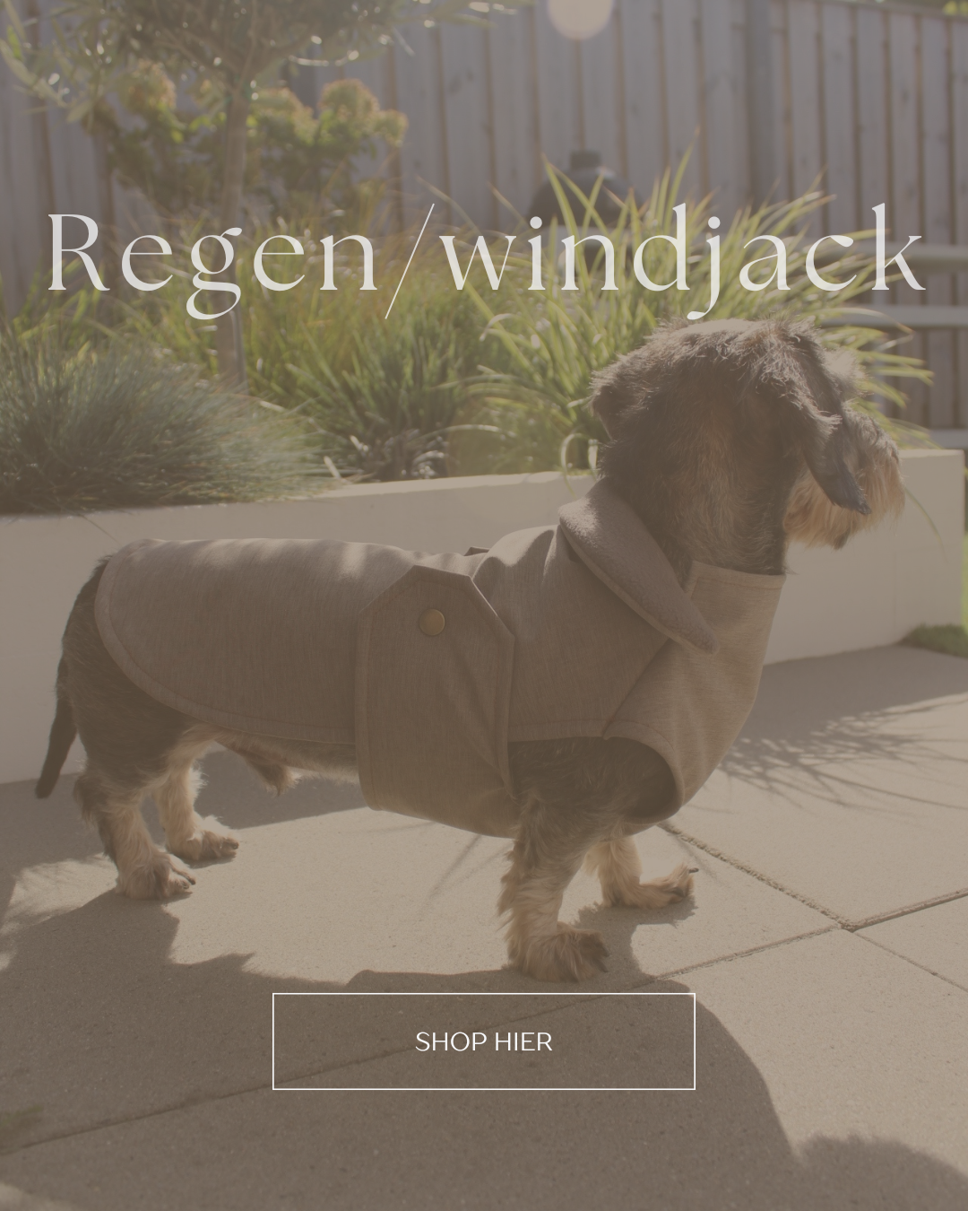 speciaal ontworpen en op maat gemaakt regenjasjes voor teckels. kaninchen, dwerg of standaard dachshunds