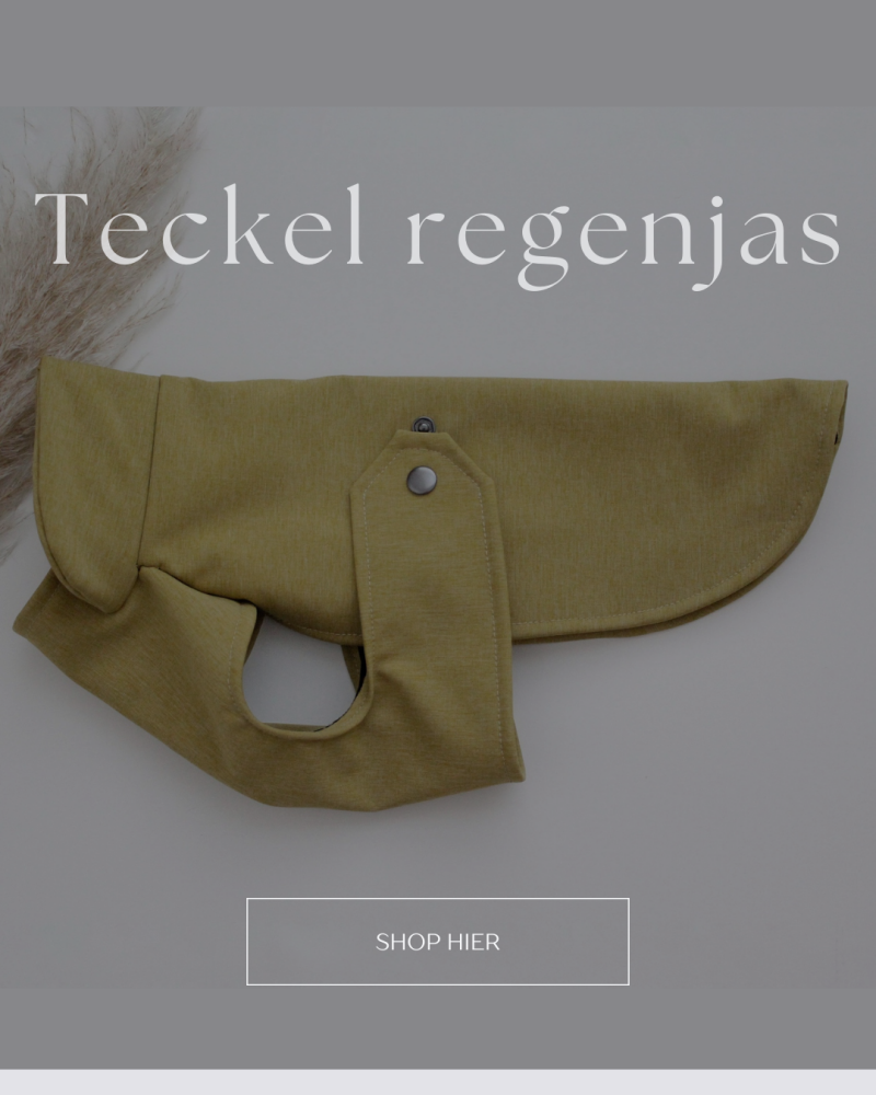 speciaal ontworpen en op maat gemaakt regenjasjes voor teckels. kaninchen, dwerg of standaard dachshunds