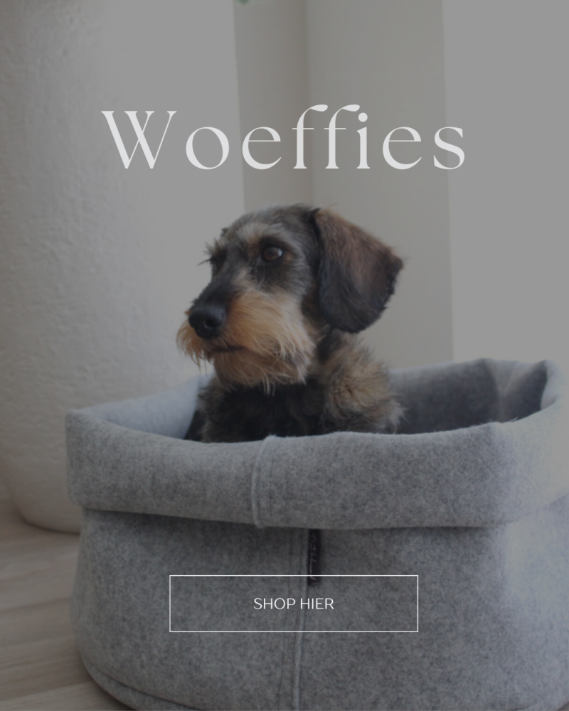 woeffies, unieke en trendy handgemaakte speeltjes voor honden. teckel regenjasjes op maat en hondenmanden om lekker comfortabel in relaxen