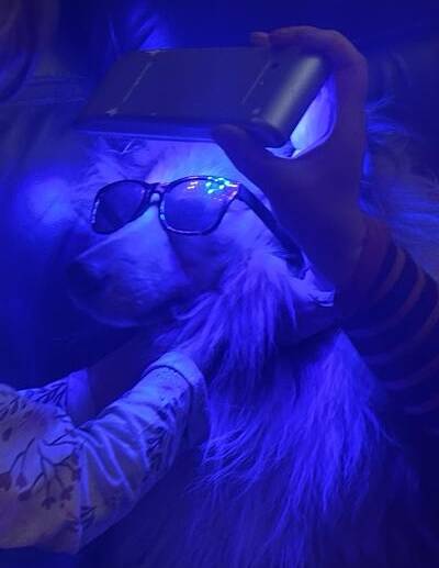 biofotonen|biofotonen|biofotonen|biofotonen|biofotonen|biofotonen|biofotonen|biofotonen|biofotonen|biofotonen|biofotonen|biofotonen|biofotonen|biofotonen|