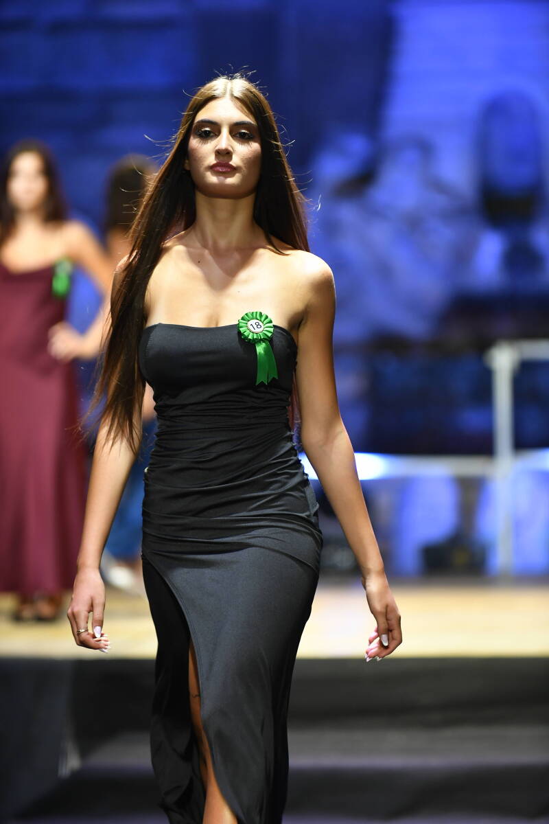 _dsc8562-standard.jpg