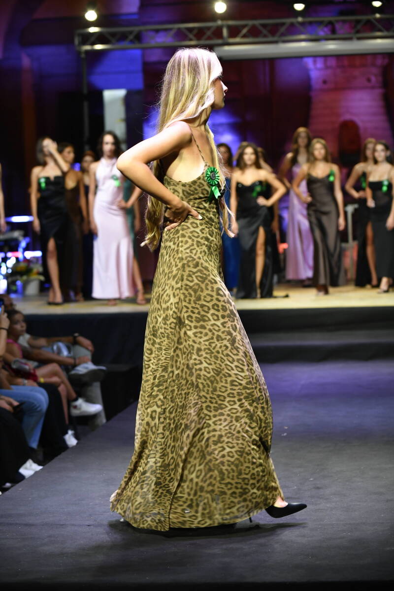 _dsc8647-standard.jpg