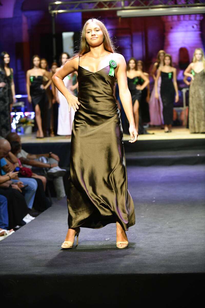 _dsc8650-standard.jpg