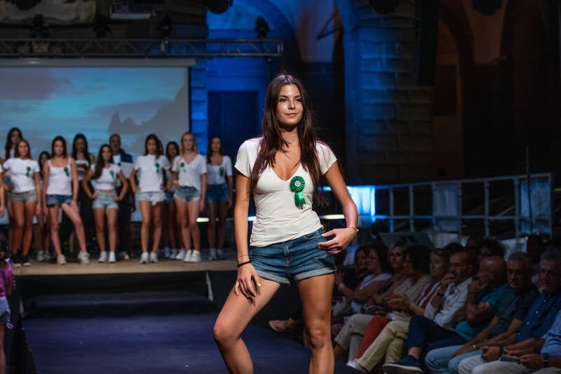 dsc_0431-standard.jpg