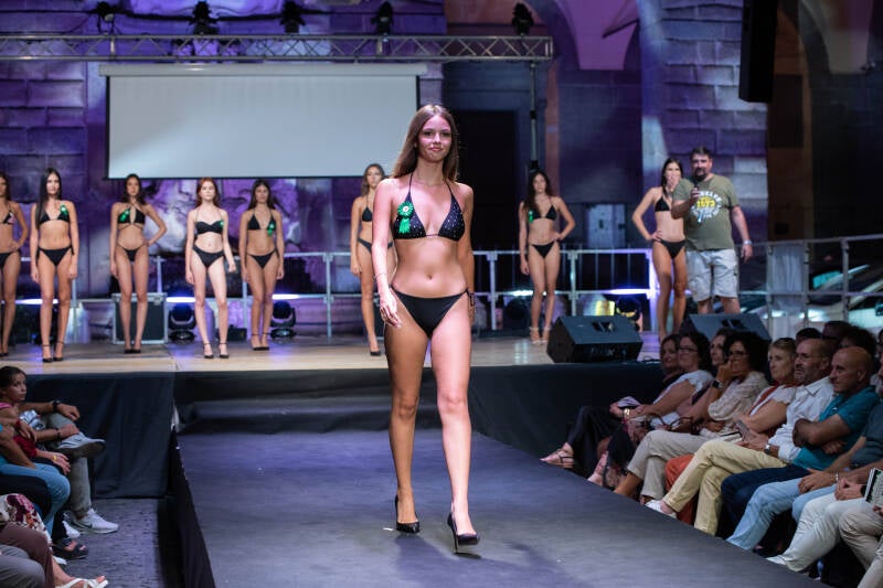 dsc_0540-standard.jpg