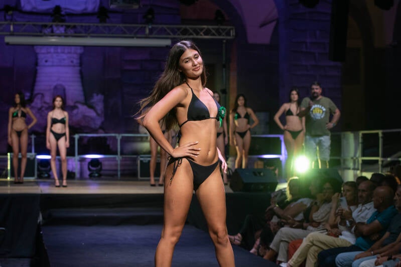 dsc_0551-standard.jpg
