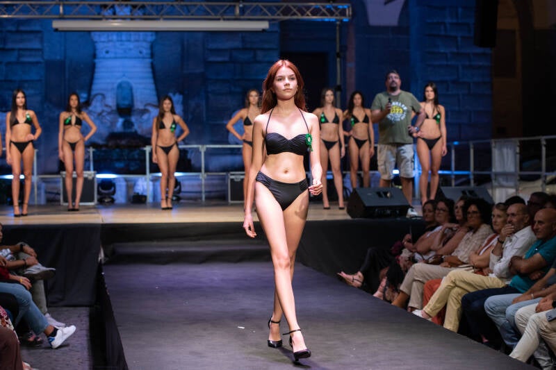 dsc_0554-standard.jpg