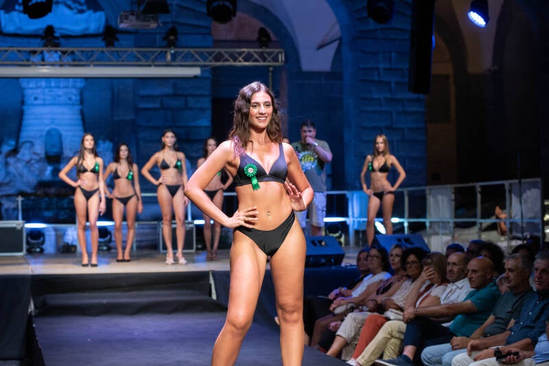 dsc_0608-standard.jpg