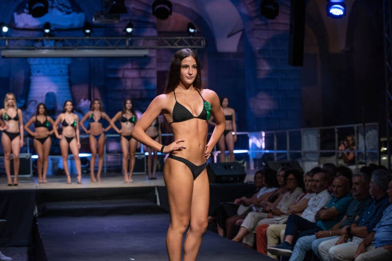 dsc_0629-standard.jpg