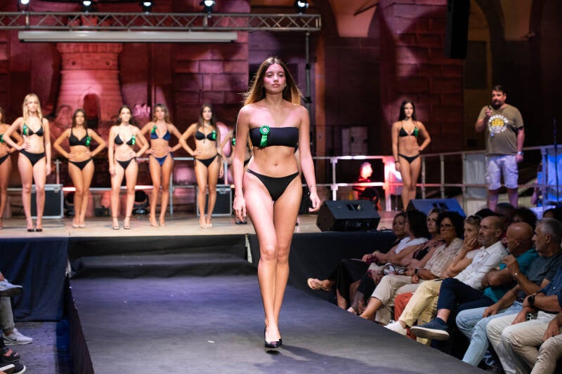 dsc_0633-standard.jpg