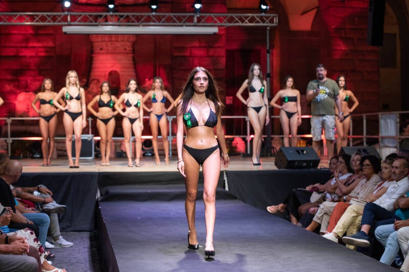 dsc_0640-standard.jpg