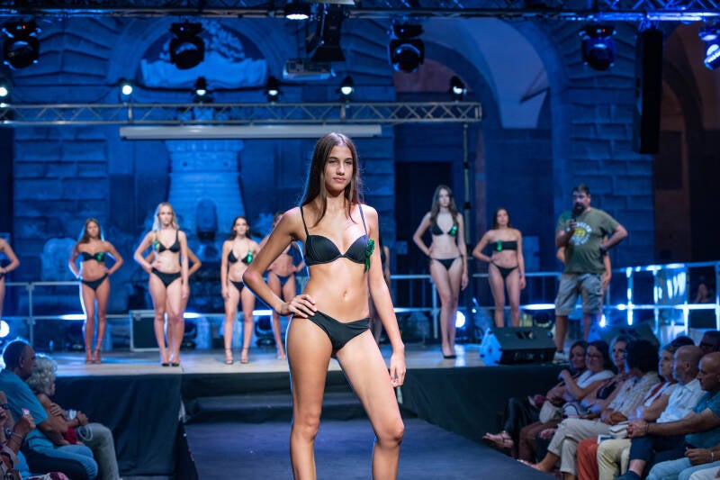 dsc_0668-standard.jpg