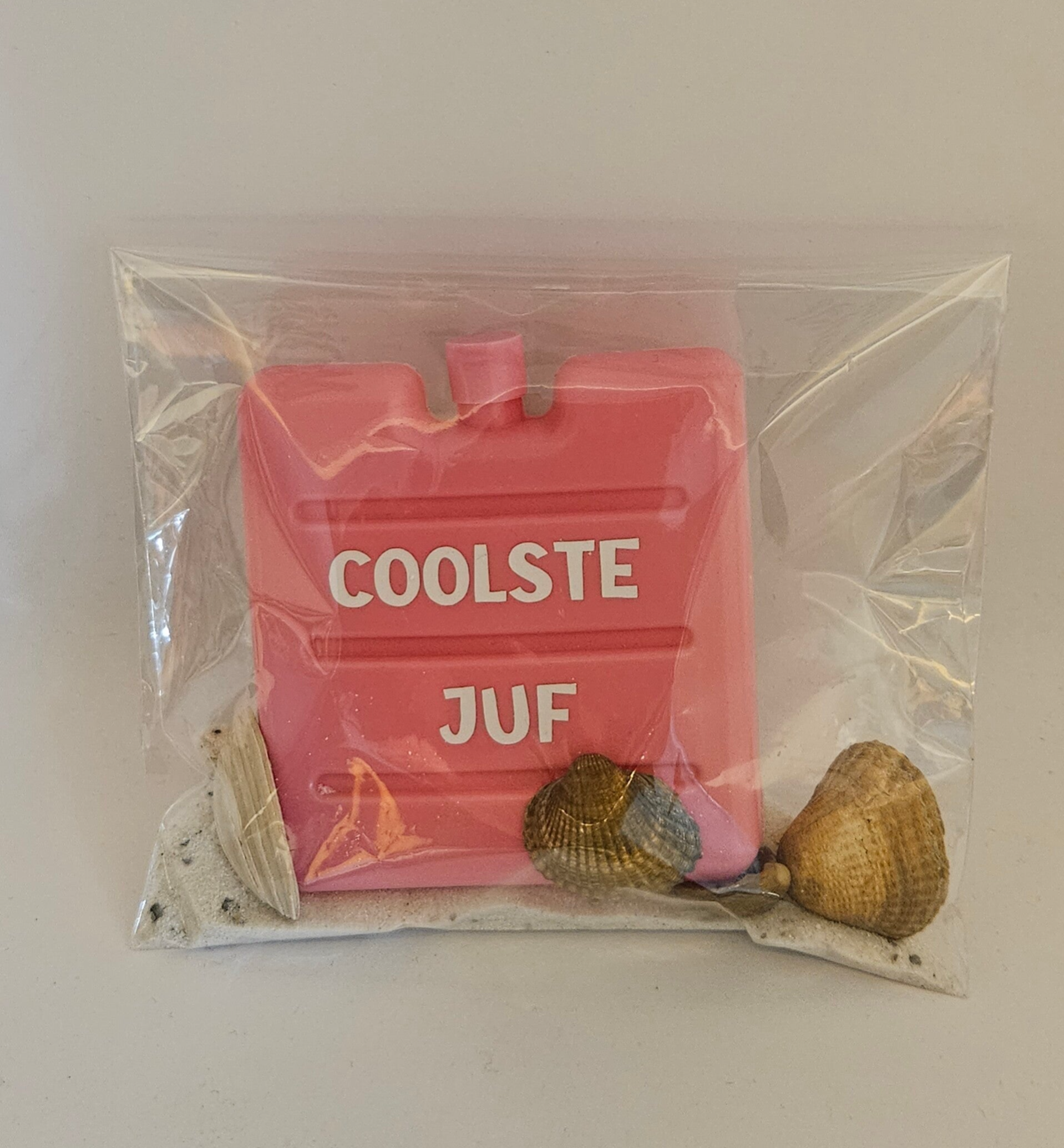 Jun en meester bedankjes of cadeautjes. Etui, mini koelelement, make up tasje met naam of andere tekst