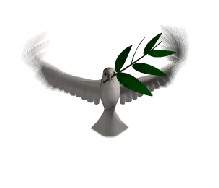 Esprit Saint, symbole sacré