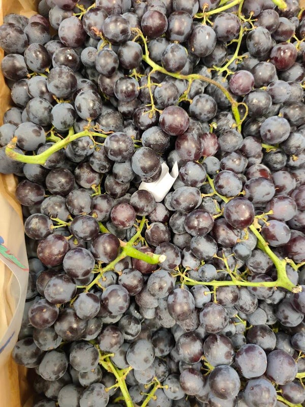 Raisin Muscat