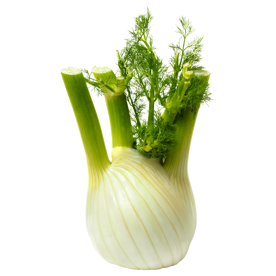Fenouil