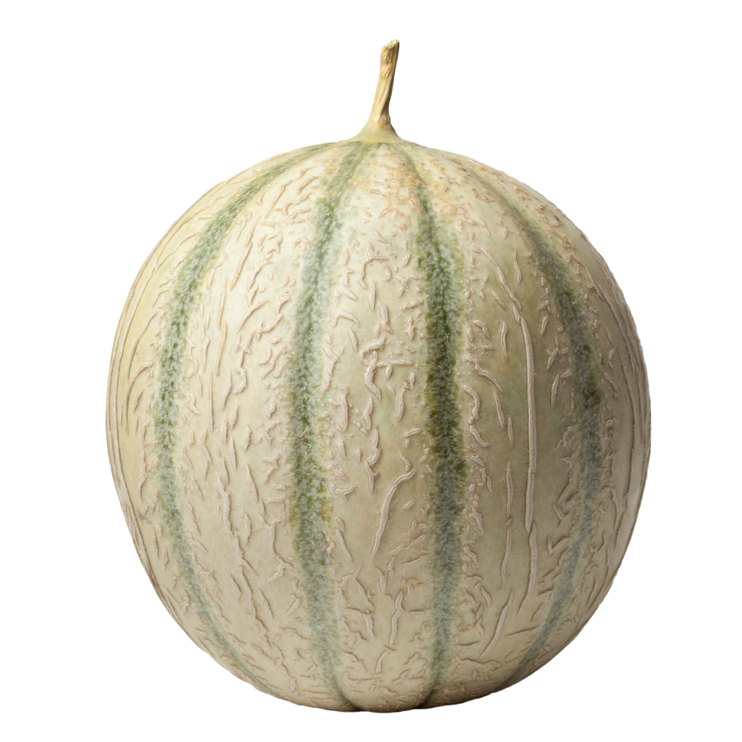 Melon Charentais