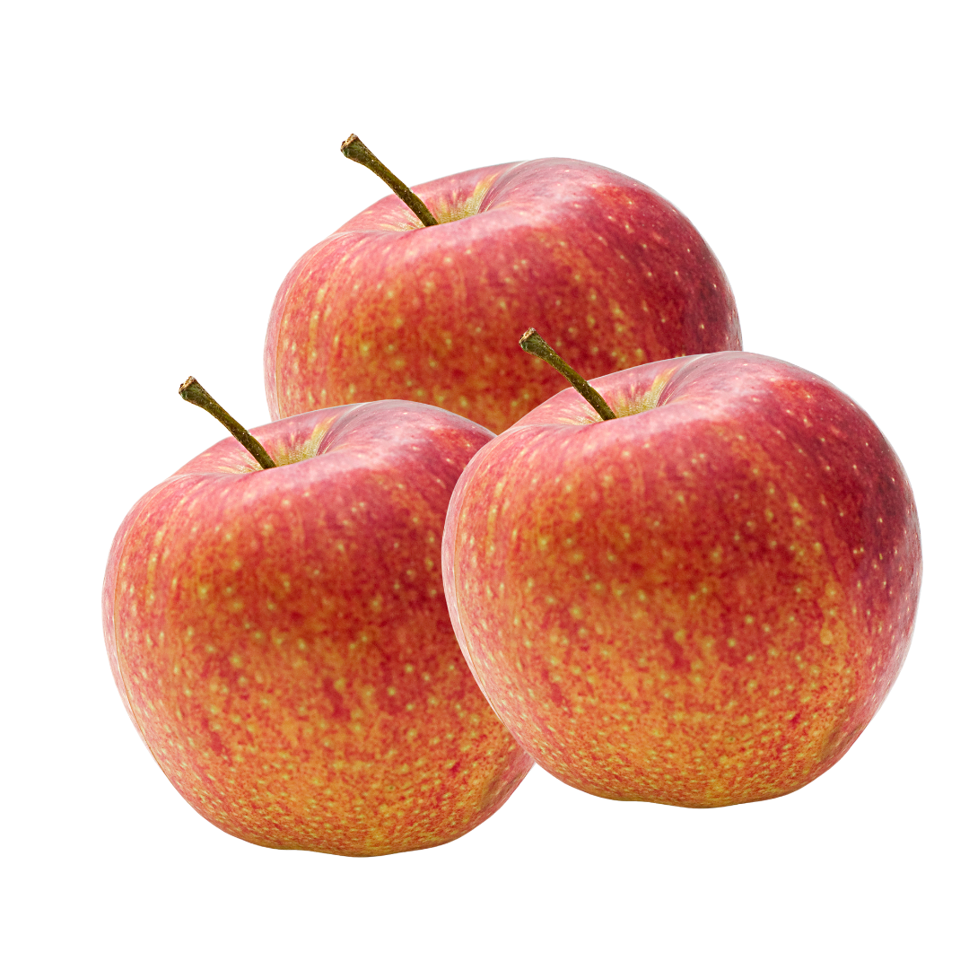 Pomme ELSTAR
