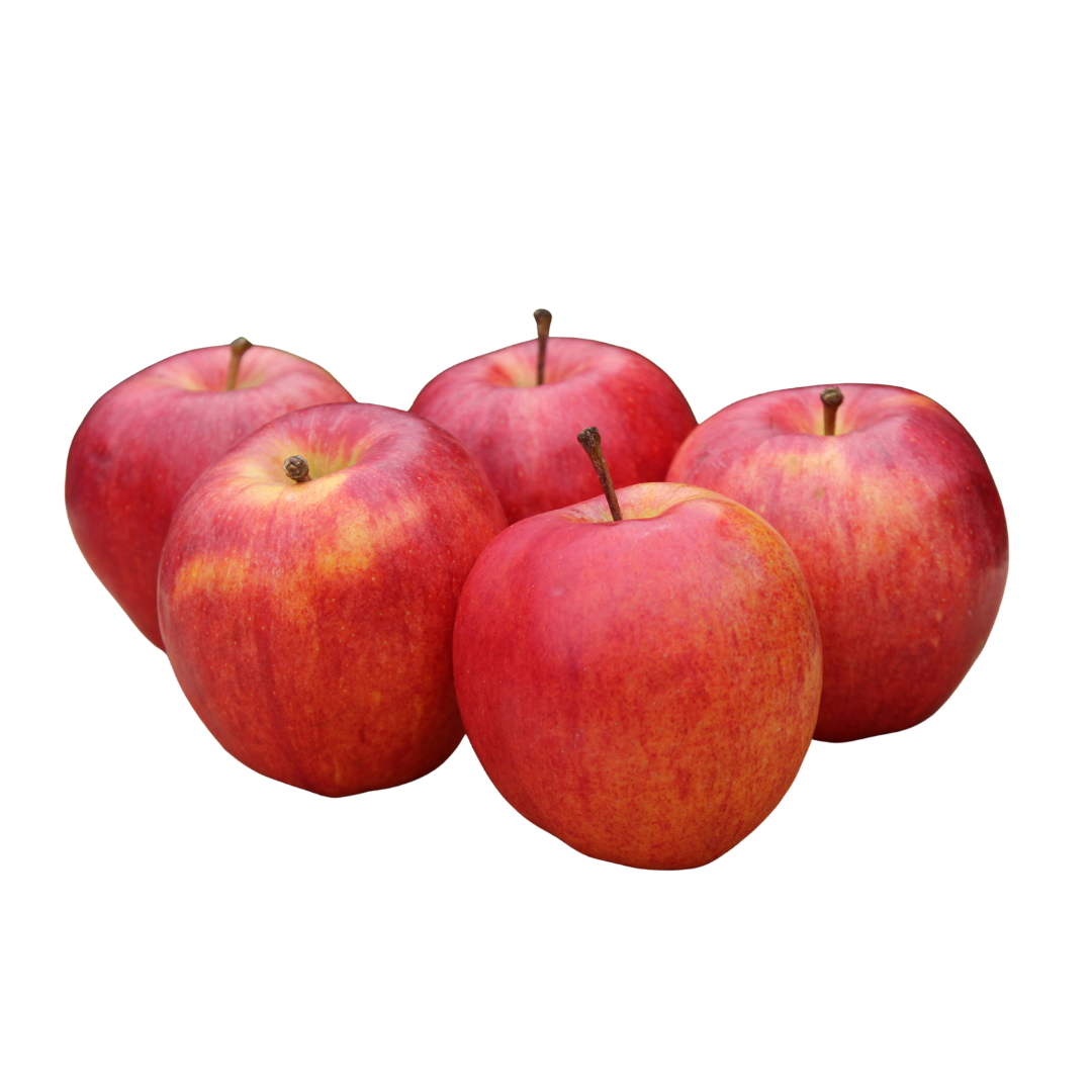 Pomme Gala