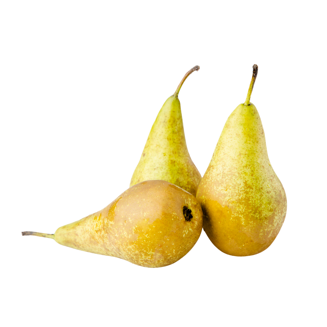 Poire Conférence