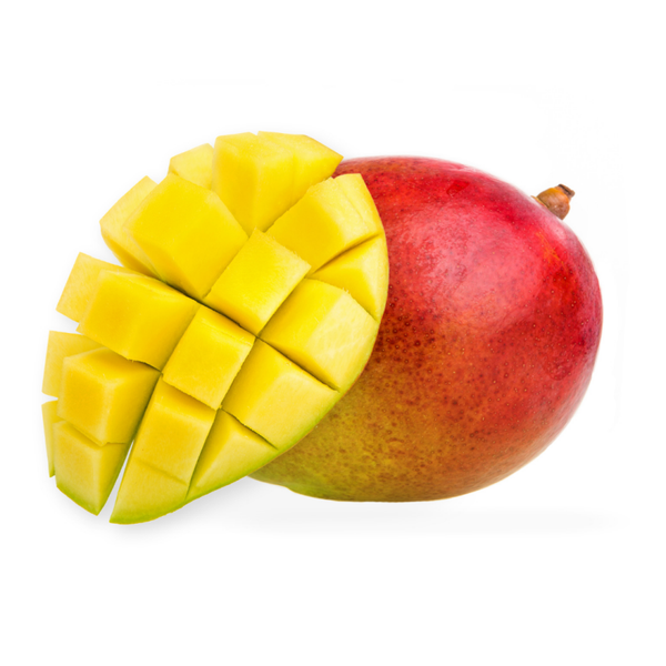 Mangue AVION