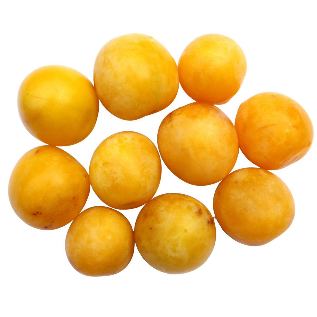Prune Mirabelle