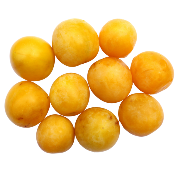 Prune Mirabelle