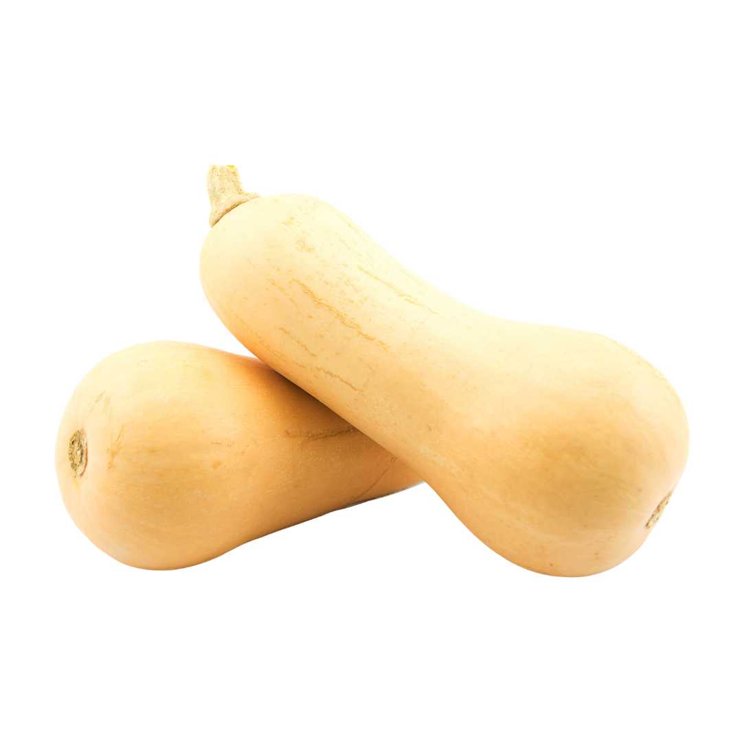 Butternut