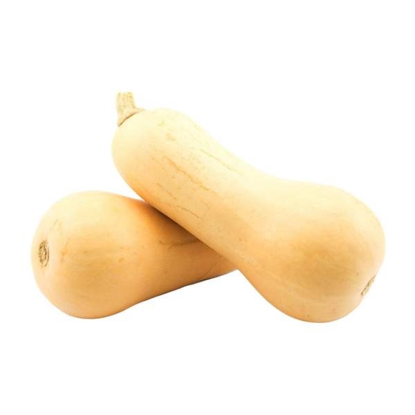 Butternut